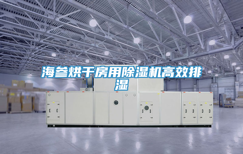 海參烘干房用除濕機高效排濕