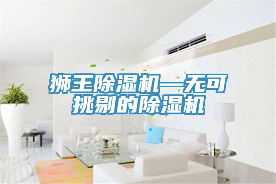 獅王除濕機(jī)—無(wú)可挑剔的除濕機(jī)