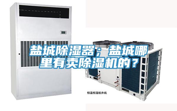 鹽城除濕器；鹽城哪里有賣除濕機(jī)的？