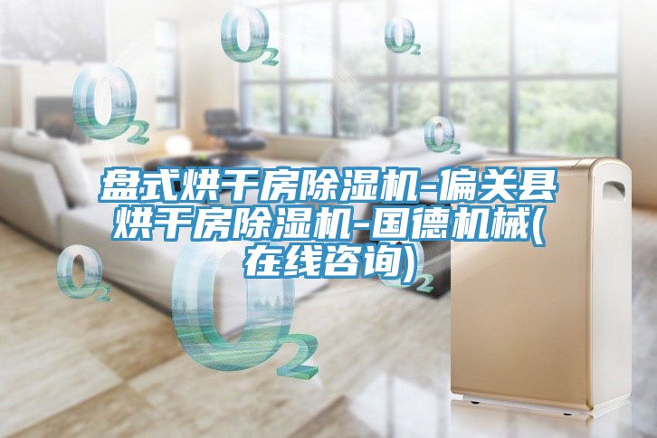 盤式烘干房除濕機(jī)-偏關(guān)縣烘干房除濕機(jī)-國德機(jī)械(在線咨詢)