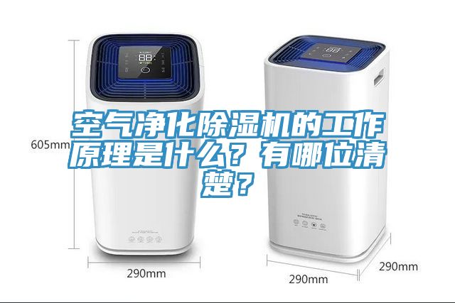 空氣凈化除濕機(jī)的工作原理是什么？有哪位清楚？