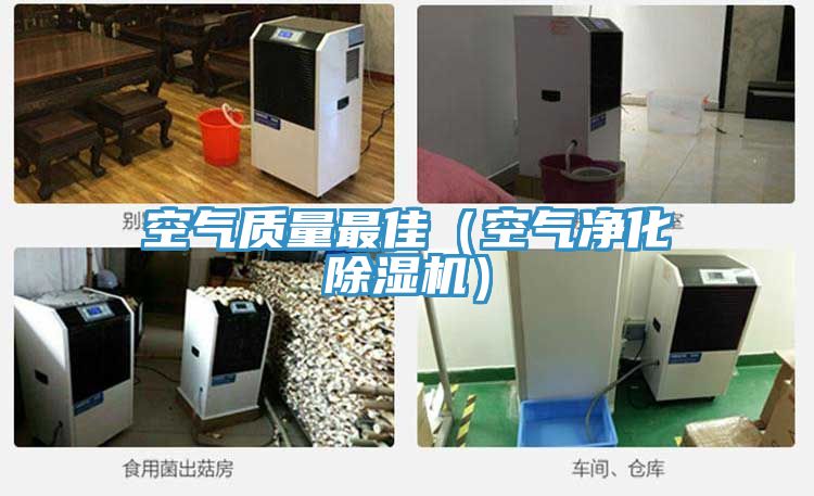 空氣質量最佳（空氣凈化除濕機）