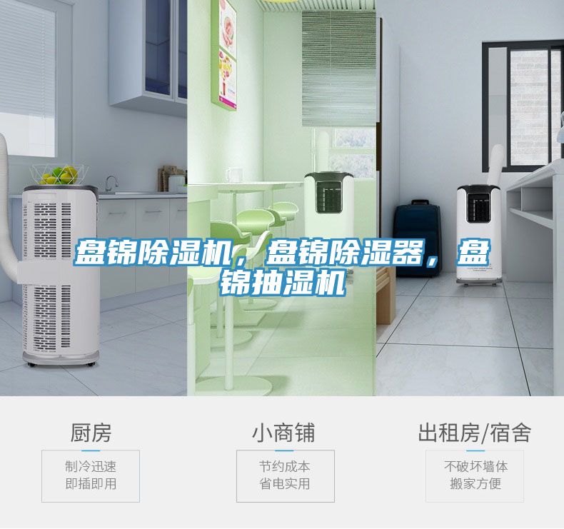 盤錦除濕機(jī)，盤錦除濕器，盤錦抽濕機(jī)