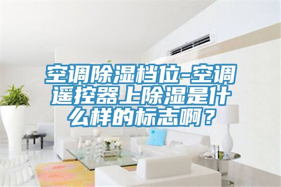 空調除濕檔位-空調遙控器上除濕是什么樣的標志啊？