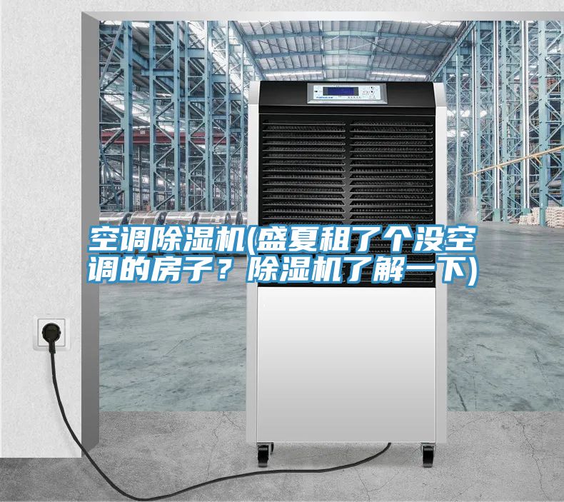 空調除濕機(盛夏租了個沒空調的房子？除濕機了解一下)