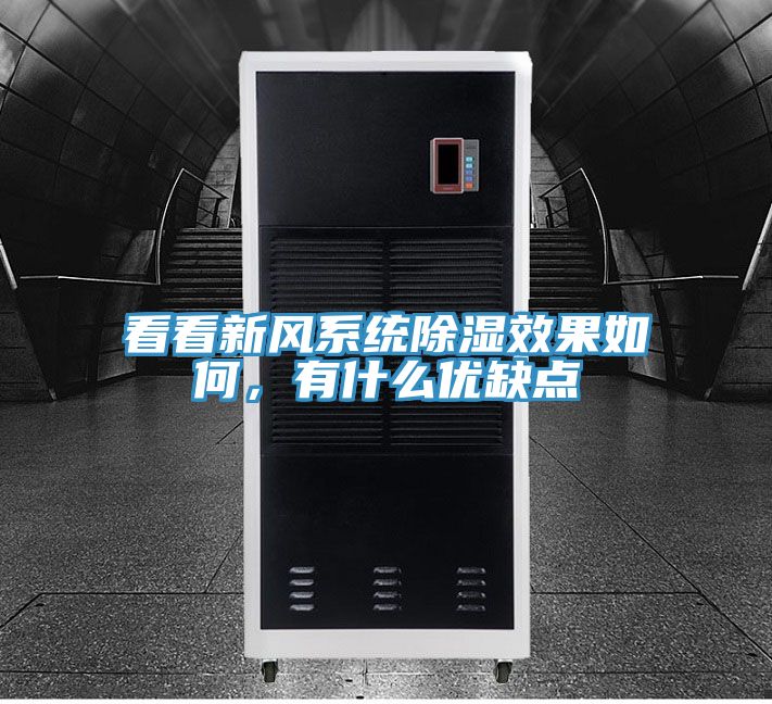 看看新風(fēng)系統(tǒng)除濕效果如何，有什么優(yōu)缺點