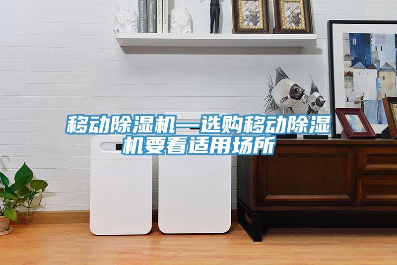移動除濕機—選購移動除濕機要看適用場所