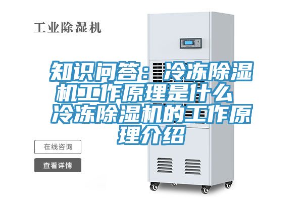 知識問答：冷凍除濕機工作原理是什么 冷凍除濕機的工作原理介紹