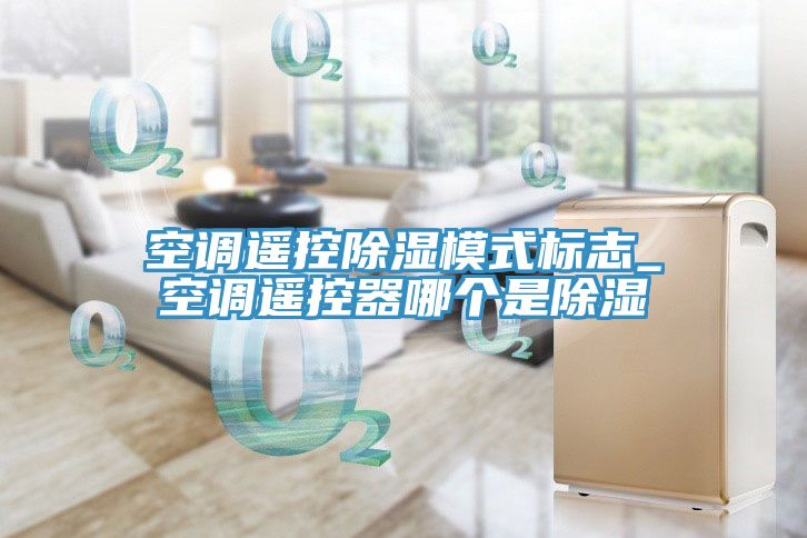 空調遙控除濕模式標志_空調遙控器哪個是除濕