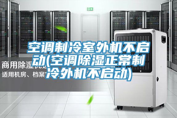空調制冷室外機不啟動(空調除濕正常制冷外機不啟動)