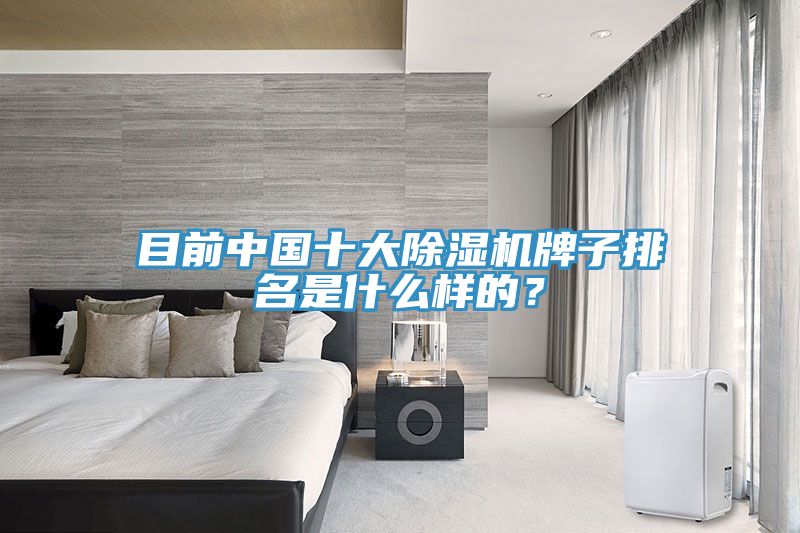 目前中國十大除濕機(jī)牌子排名是什么樣的？