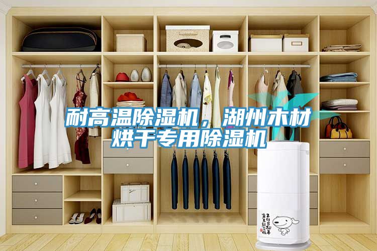 耐高溫除濕機(jī)，湖州木材烘干專用除濕機(jī)