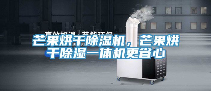 芒果烘干除濕機(jī)，芒果烘干除濕一體機(jī)更省心