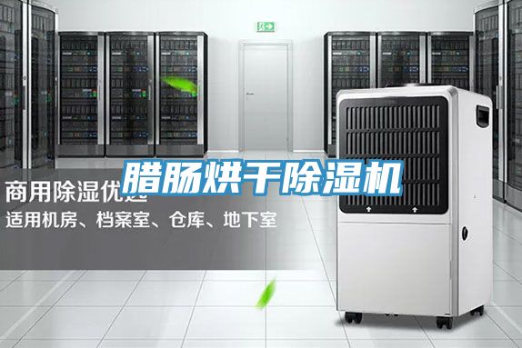 臘腸烘干除濕機