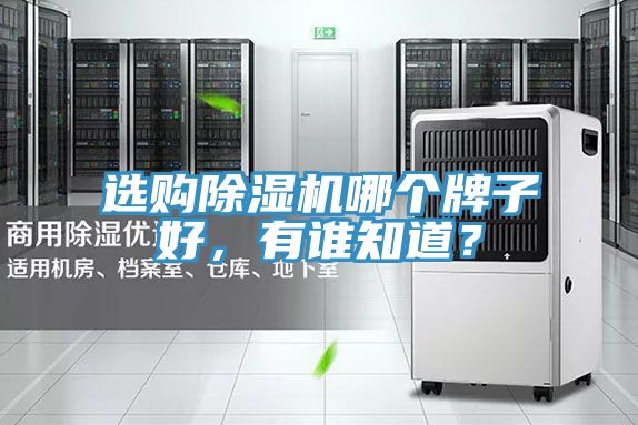 選購(gòu)除濕機(jī)哪個(gè)牌子好，有誰(shuí)知道？