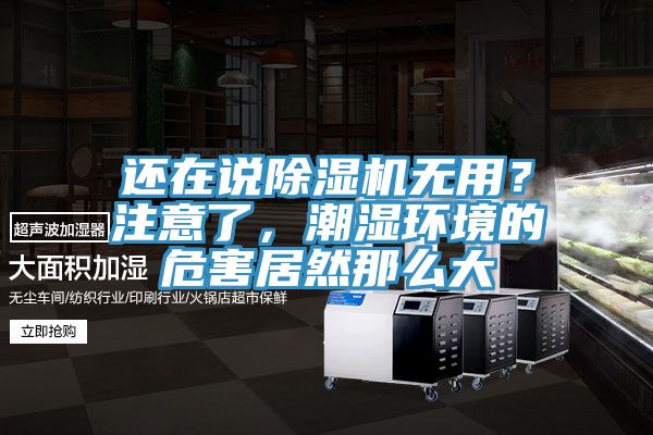 還在說除濕機無用？注意了，潮濕環境的危害居然那么大