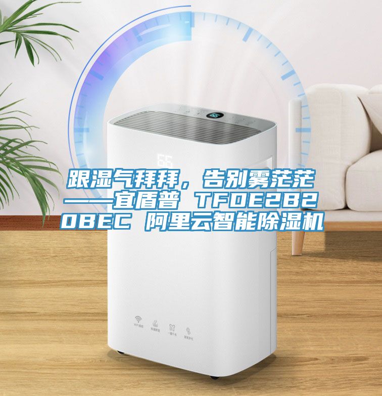 跟濕氣拜拜，告別霧茫茫——宜盾普 TFDE2B20BEC 阿里云智能除濕機