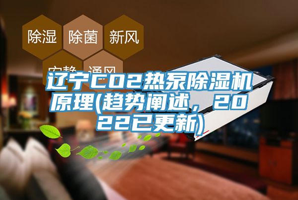 遼寧CO2熱泵除濕機原理(趨勢闡述，2022已更新)