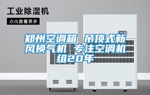 鄭州空調箱 吊頂式新風換氣機 專注空調機組20年