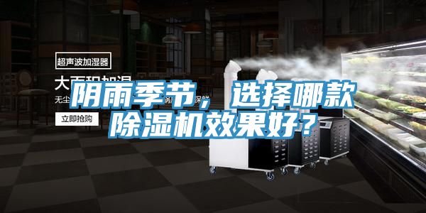 陰雨季節，選擇哪款除濕機效果好？