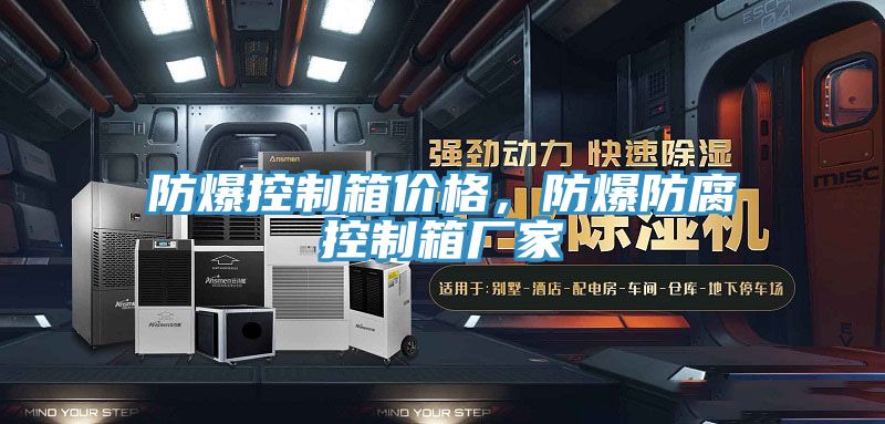 防爆控制箱價格，防爆防腐控制箱廠家