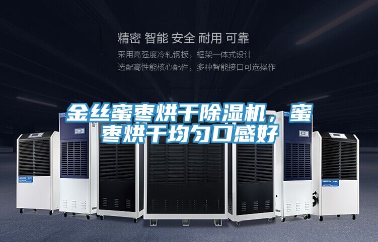 金絲蜜棗烘干除濕機，蜜棗烘干均勻口感好