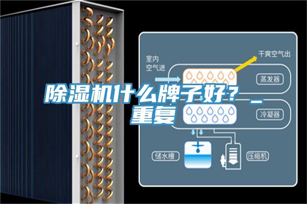 除濕機什么牌子好？_重復