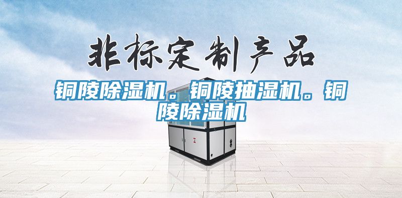 銅陵除濕機。銅陵抽濕機。銅陵除濕機