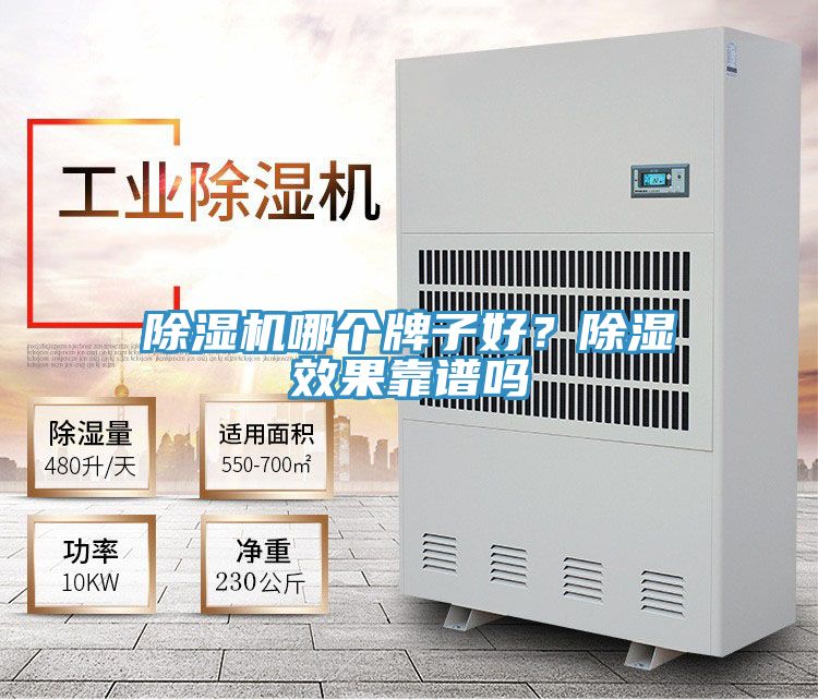 除濕機哪個牌子好？除濕效果靠譜嗎