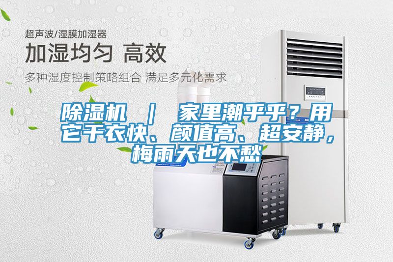 除濕機 ｜ 家里潮乎乎？用它干衣快、顏值高、超安靜，梅雨天也不愁