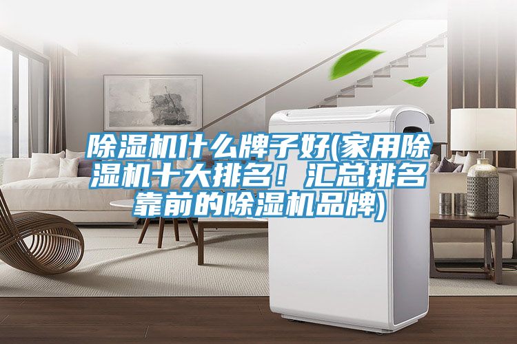 除濕機什么牌子好(家用除濕機十大排名！匯總排名靠前的除濕機品牌)