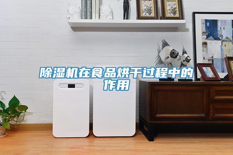 除濕機(jī)在食品烘干過程中的作用