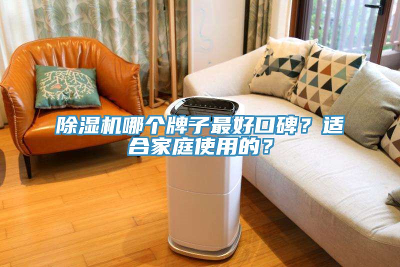 除濕機哪個牌子最好口碑？適合家庭使用的？
