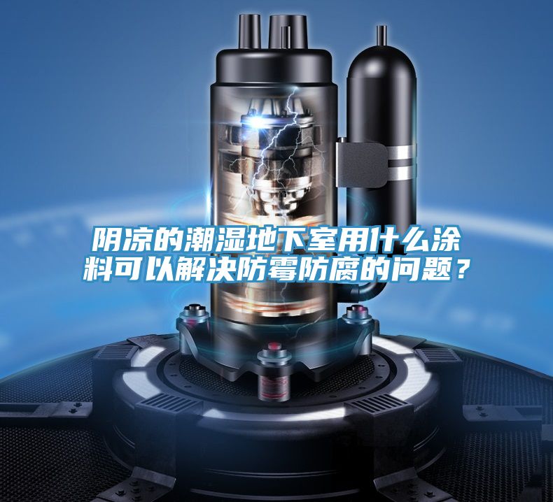 陰涼的潮濕地下室用什么涂料可以解決防霉防腐的問題？