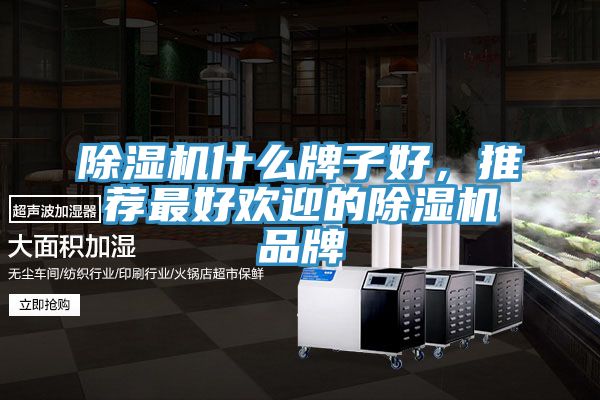 除濕機什么牌子好，推薦最好歡迎的除濕機品牌