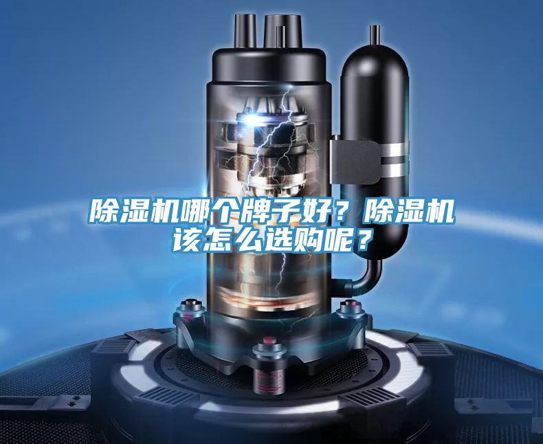 除濕機哪個牌子好？除濕機該怎么選購呢？