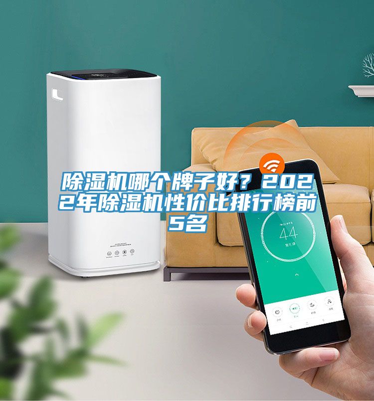 除濕機(jī)哪個牌子好？2022年除濕機(jī)性價比排行榜前5名