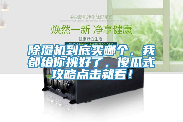 除濕機到底買哪個，我都給你挑好了，傻瓜式攻略點擊就看！