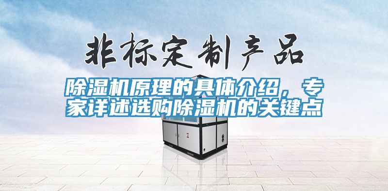 除濕機原理的具體介紹，專家詳述選購除濕機的關鍵點