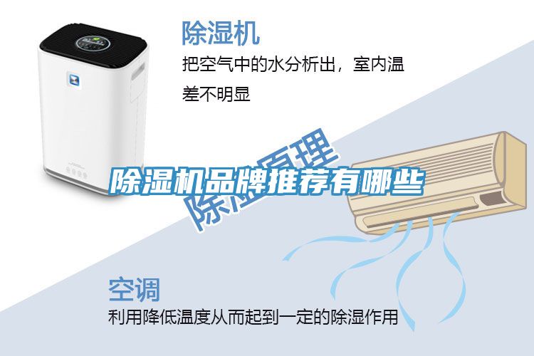 除濕機(jī)品牌推薦有哪些