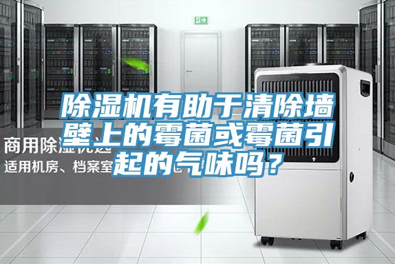 除濕機有助于清除墻壁上的霉菌或霉菌引起的氣味嗎？
