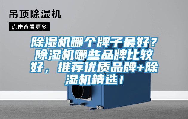 除濕機哪個牌子最好？除濕機哪些品牌比較好，推薦優質品牌+除濕機精選！