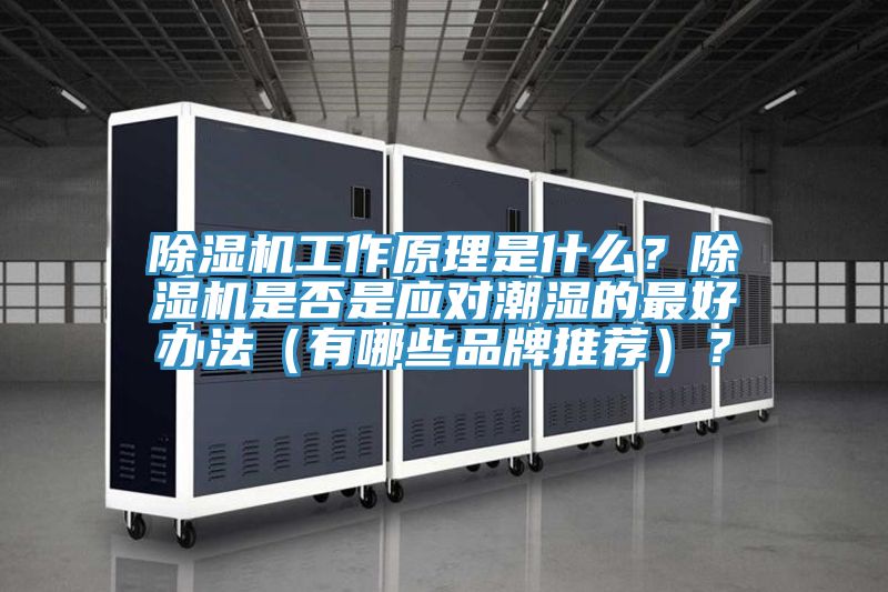 除濕機工作原理是什么？除濕機是否是應對潮濕的最好辦法（有哪些品牌推薦）？