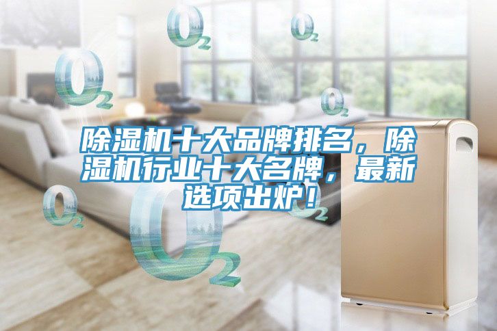 除濕機(jī)十大品牌排名，除濕機(jī)行業(yè)十大名牌，最新選項(xiàng)出爐！