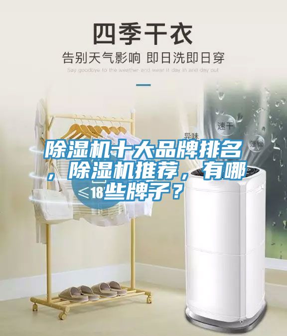 除濕機(jī)十大品牌排名，除濕機(jī)推薦，有哪些牌子？