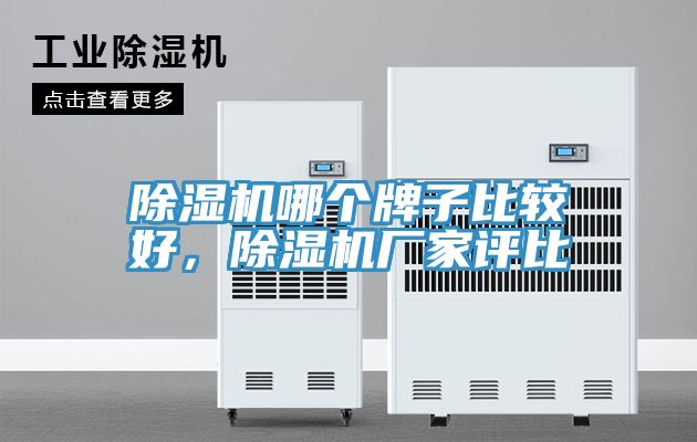 除濕機哪個牌子比較好，除濕機廠家評比
