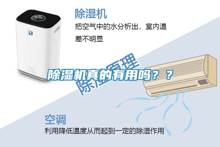 除濕機真的有用嗎？？