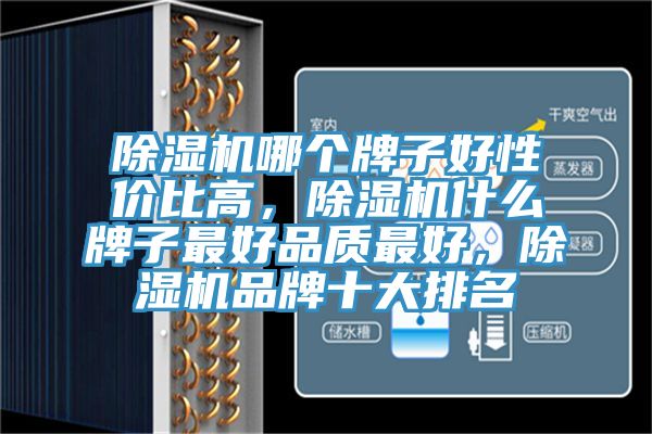 除濕機(jī)哪個(gè)牌子好性價(jià)比高，除濕機(jī)什么牌子最好品質(zhì)最好，除濕機(jī)品牌十大排名