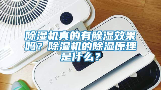 除濕機真的有除濕效果嗎？除濕機的除濕原理是什么？