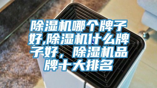 除濕機(jī)哪個(gè)牌子好,除濕機(jī)什么牌子好，除濕機(jī)品牌十大排名